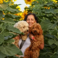 Corinne Bitton